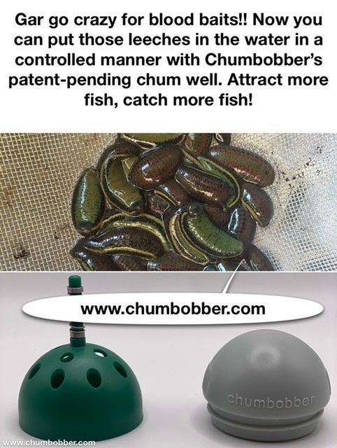 A picture of leeches and a picture of a chumbobber