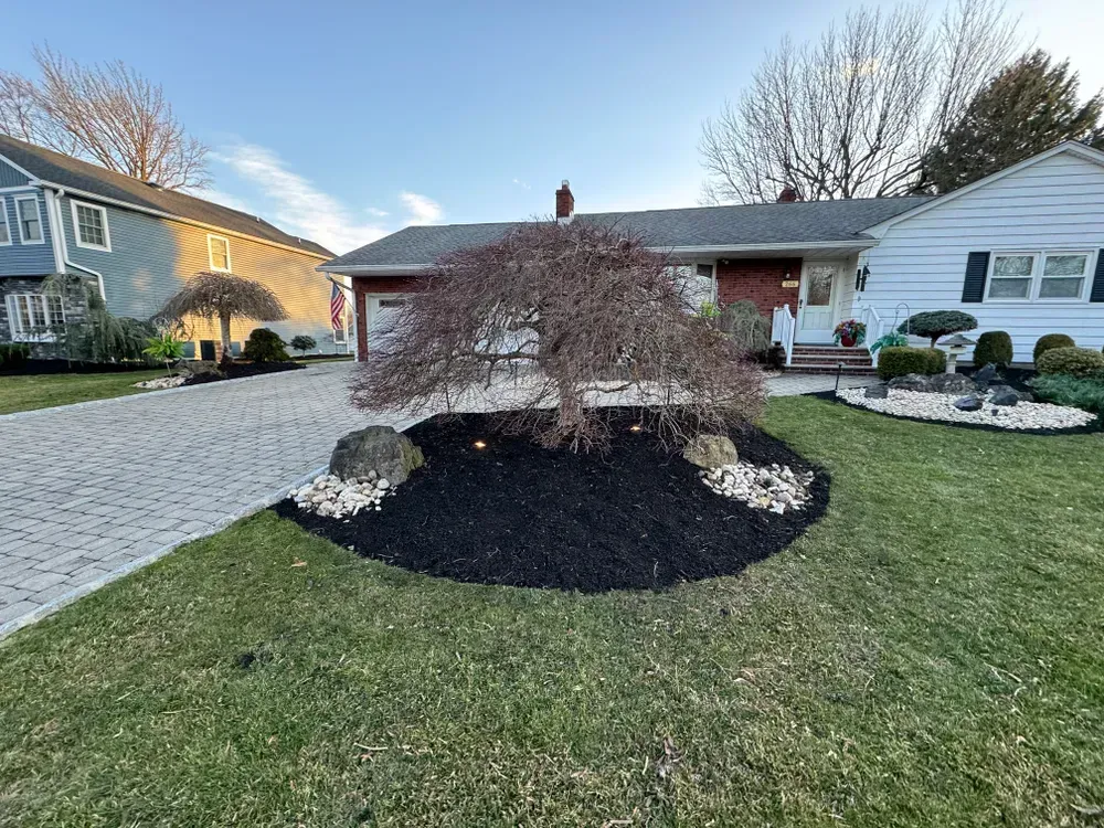There is a tree in the middle of the yard in front of the house.