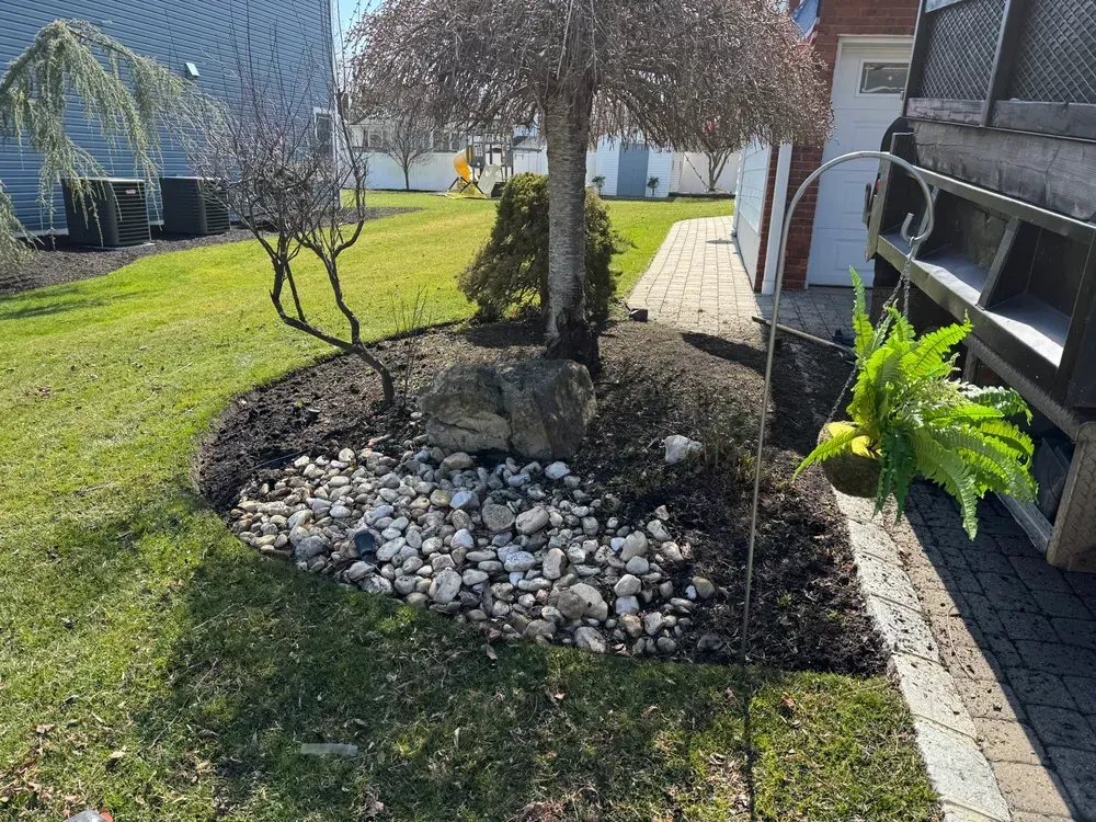 A dumpster is parked in a yard next to a tree and rocks.