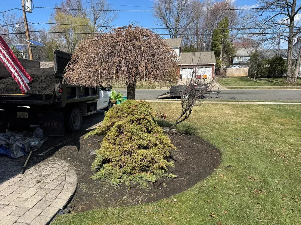 A dump truck is parked in a yard next to a tree.