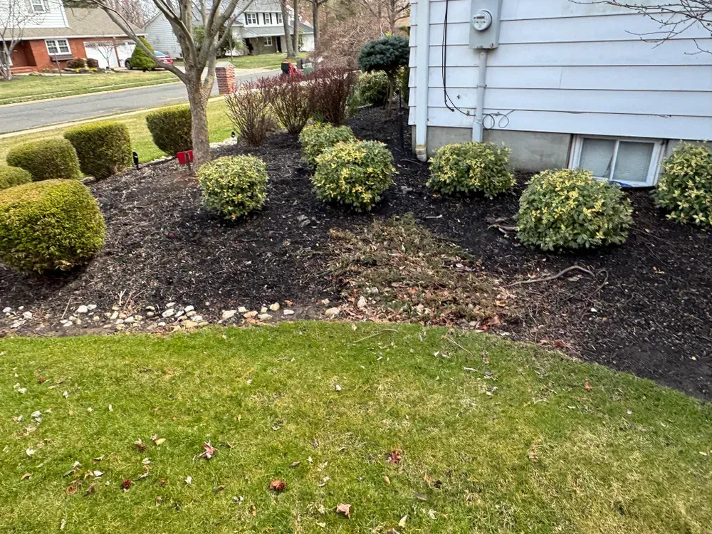 A house with a lot of bushes and shrubs in front of it.