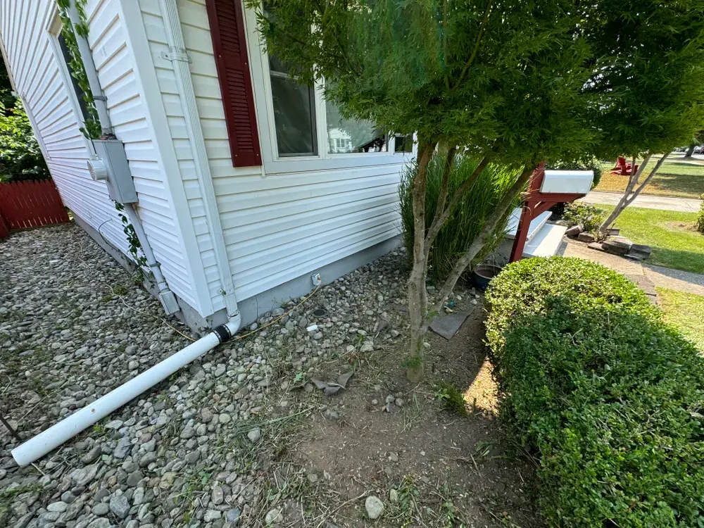 A white house with a mailbox and a tree in front of it.