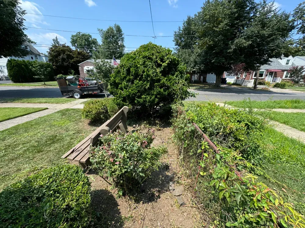 A wooden bench is sitting in the middle of a garden.