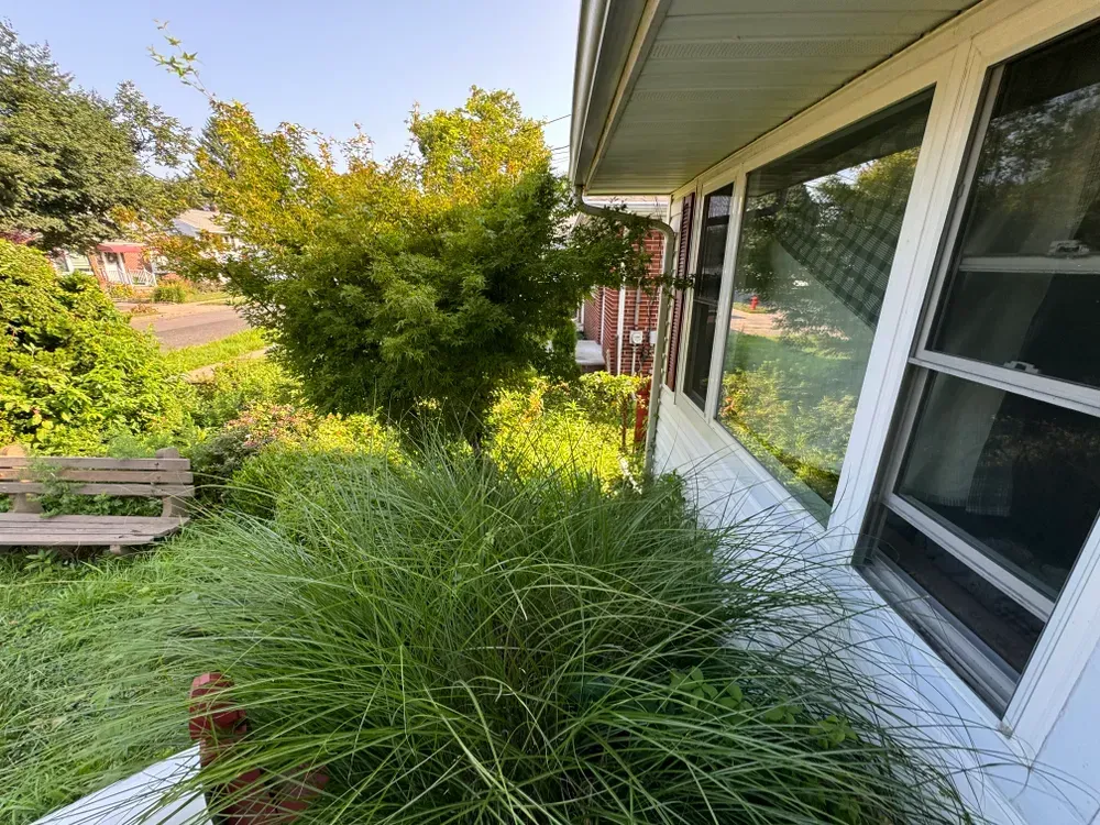 A house with a lot of windows and a bush in front of it.
