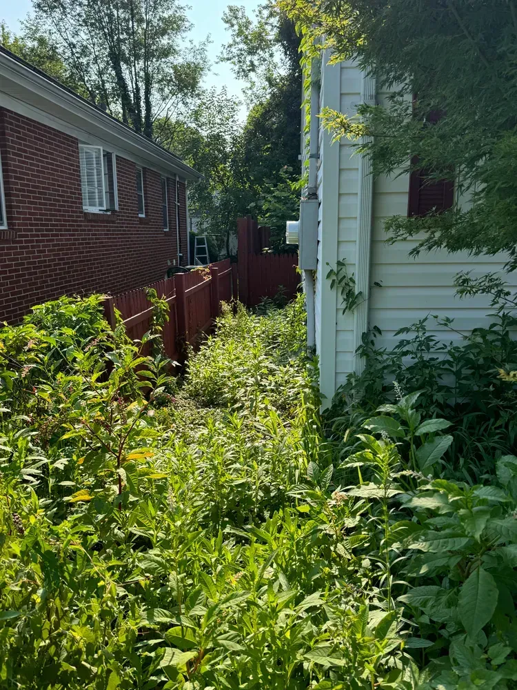 A house with a red fence and a lot of weeds on the side of it.