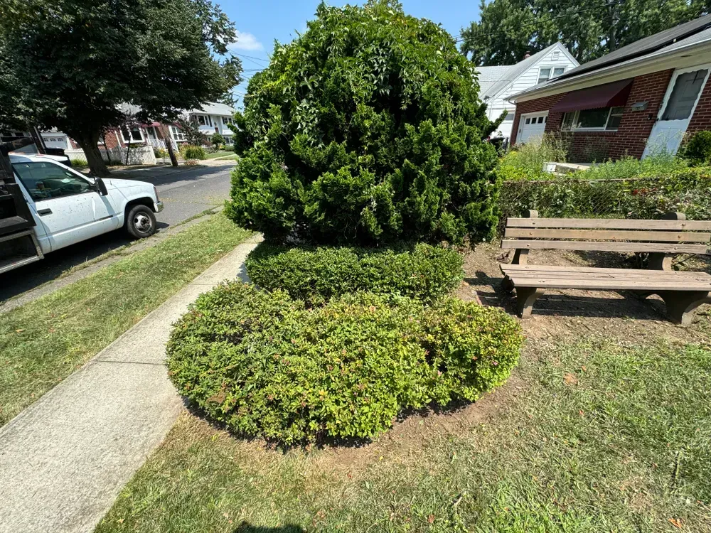 A white truck is parked on the side of the road next to a wooden bench.