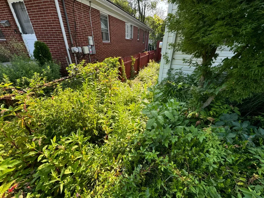 A brick house with a red fence and bushes in front of it.
