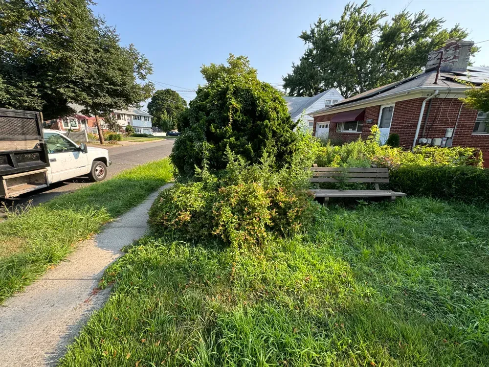 A white truck is parked on the side of the road in front of a house.
