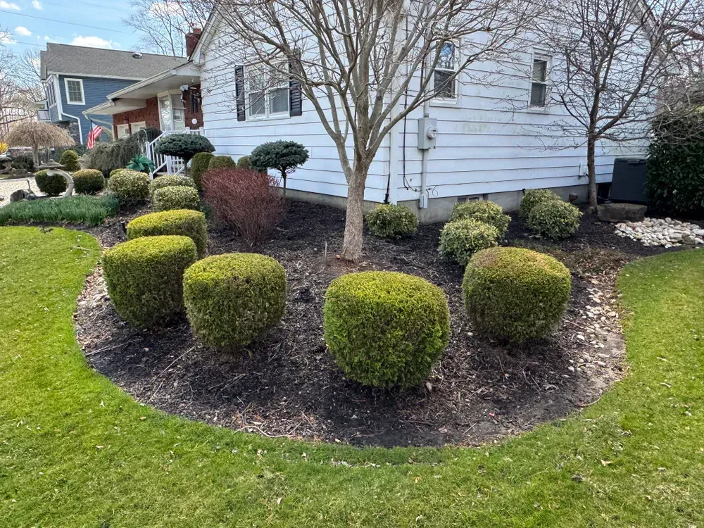 A white house with a lush green lawn and bushes in front of it.