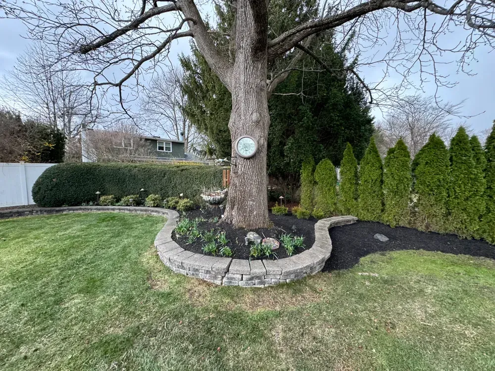 A tree in the middle of a lush green yard with a clock on it.