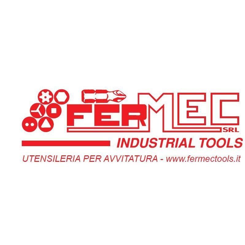 logo femmec