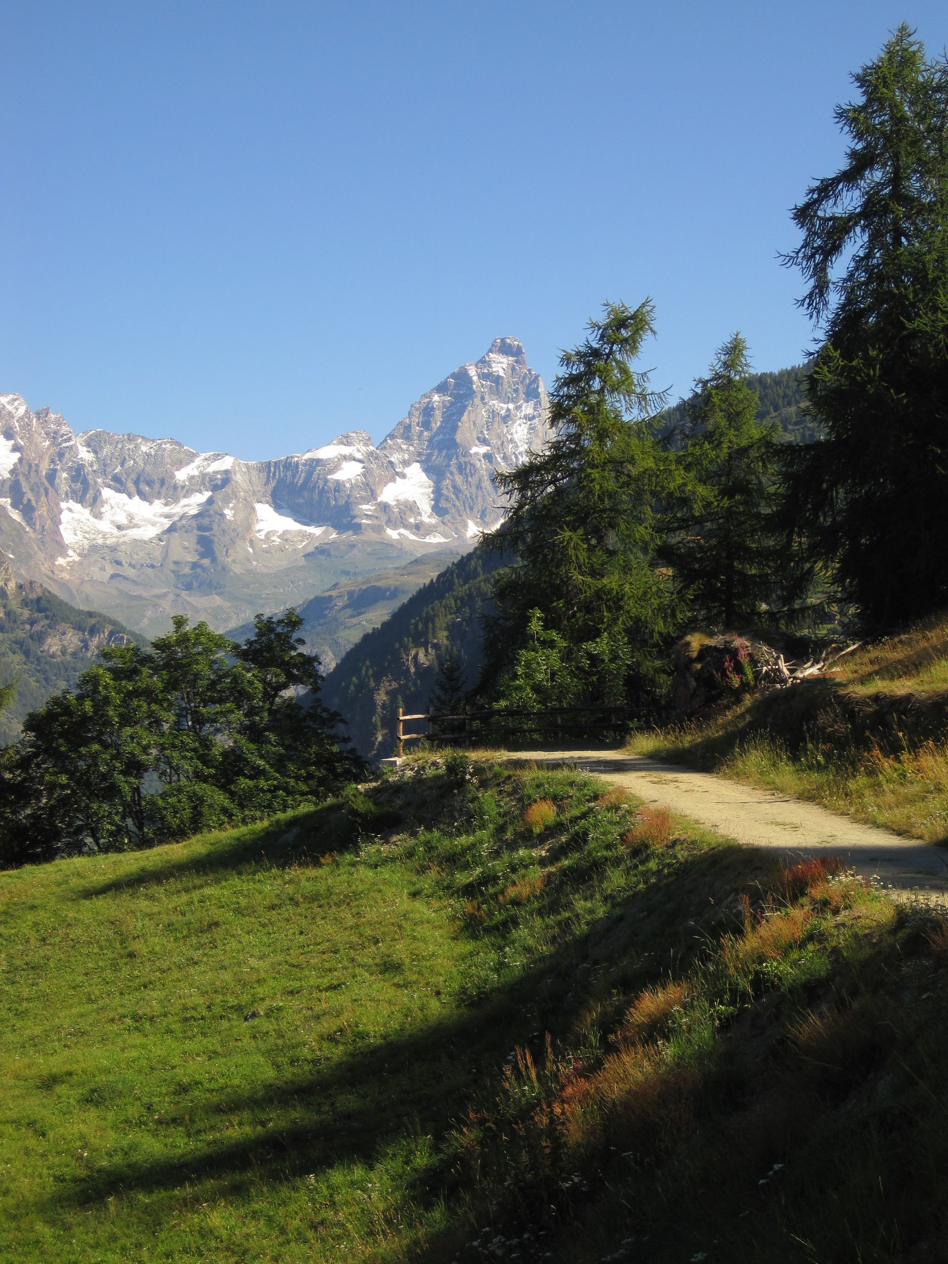Sentiero tra i prati fioriti sopra Chamois, perfetto per escursioni estive immersi nella natura.