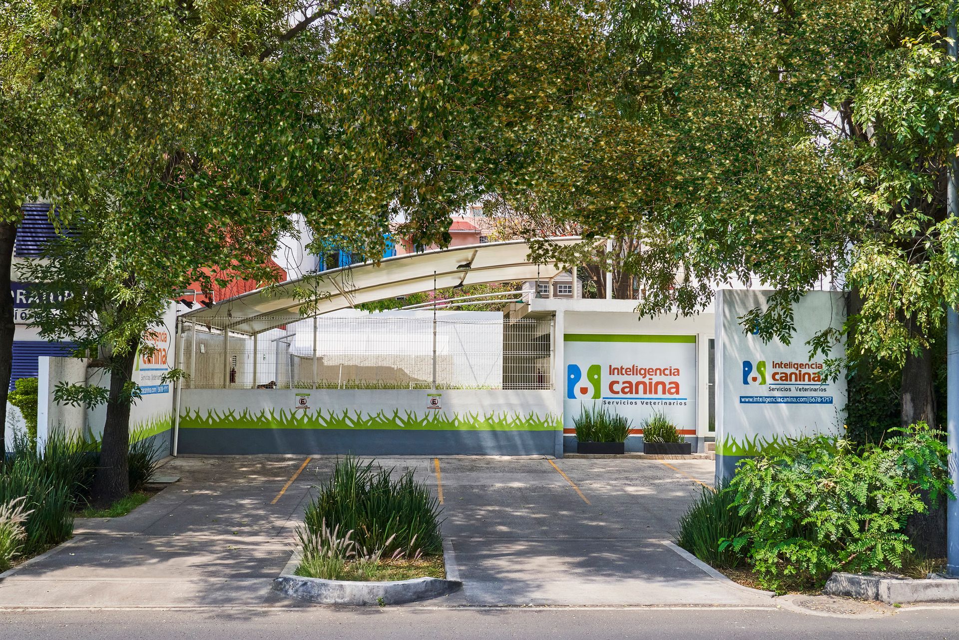 escuela de adiestramiento canino  ciudad de mexico del valle sur