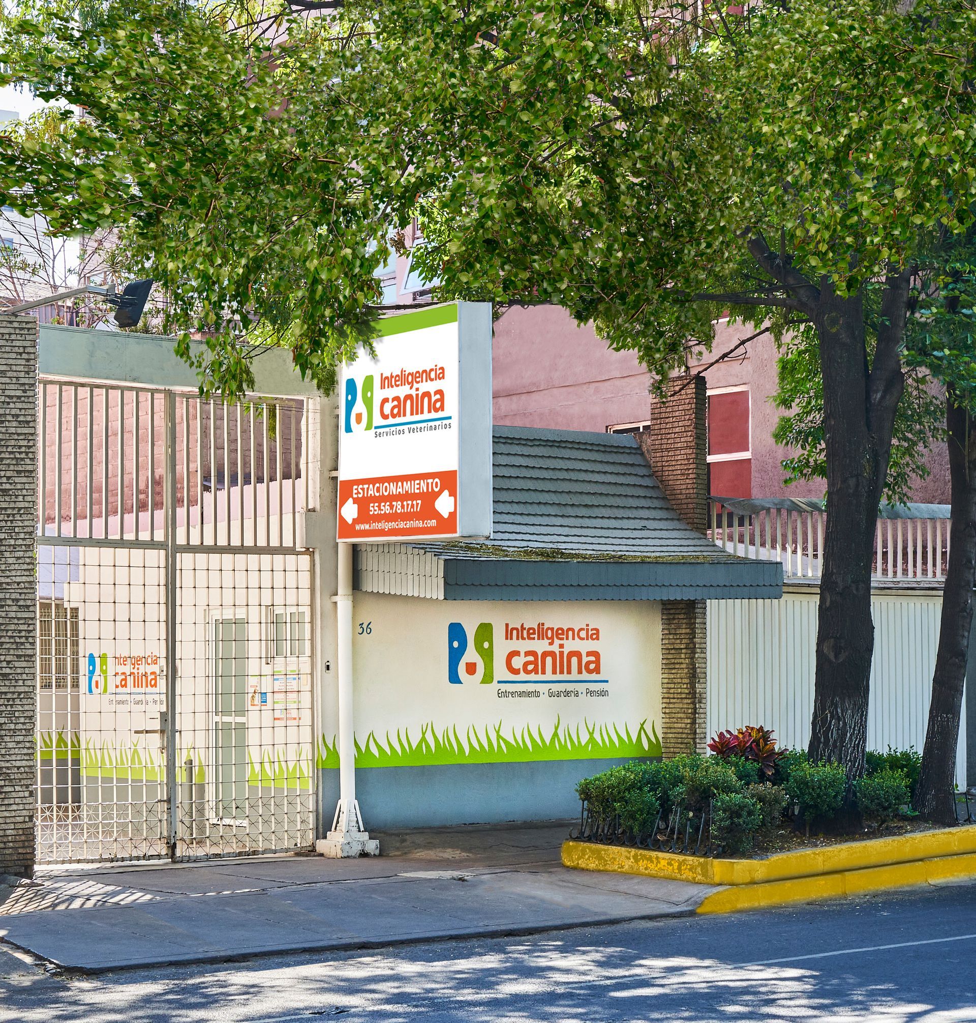 escuela de adiestramiento canino  ciudad de mexico roma condesa