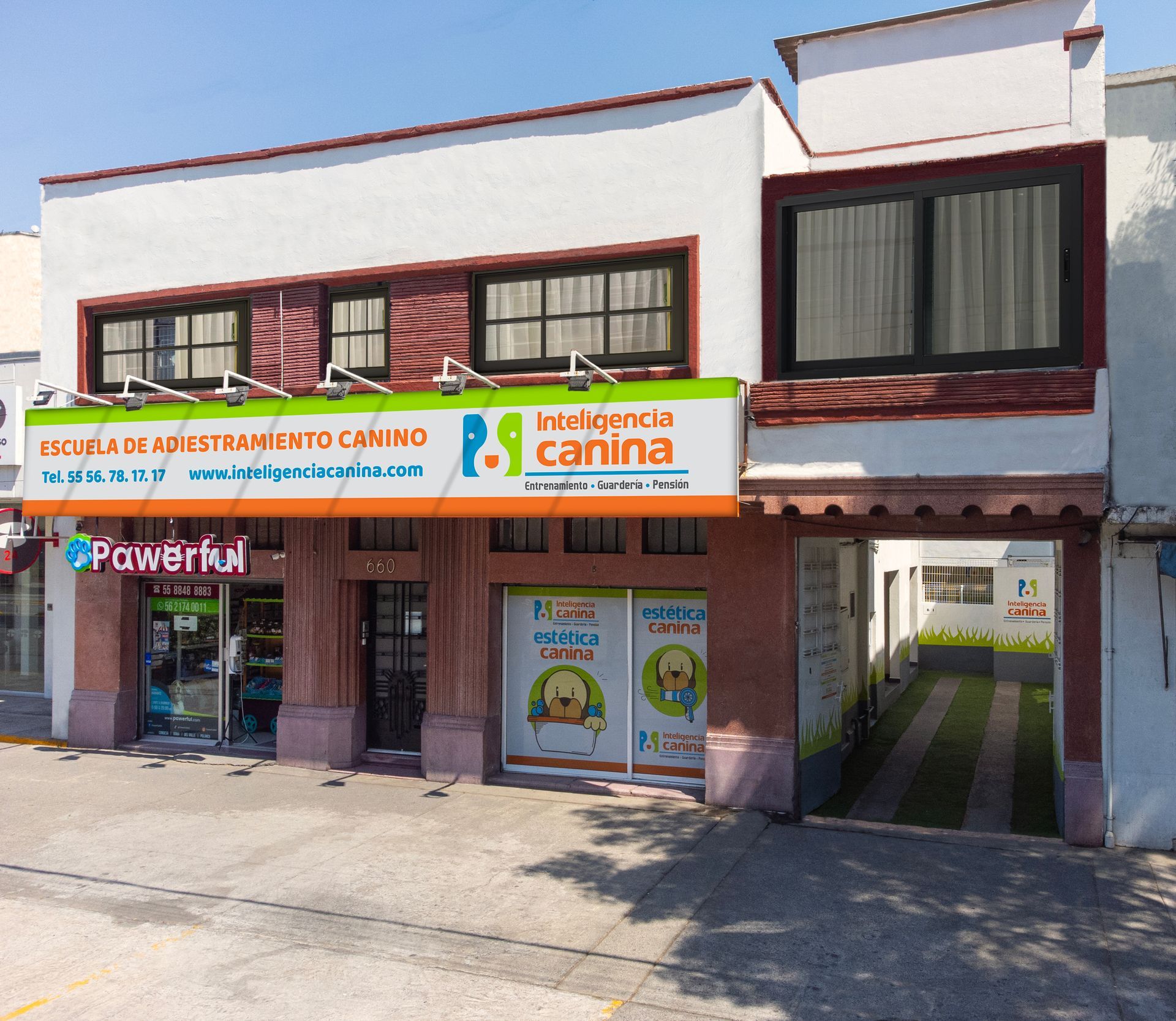 escuela de adiestramiento canino  ciudad de mexico narvarte
