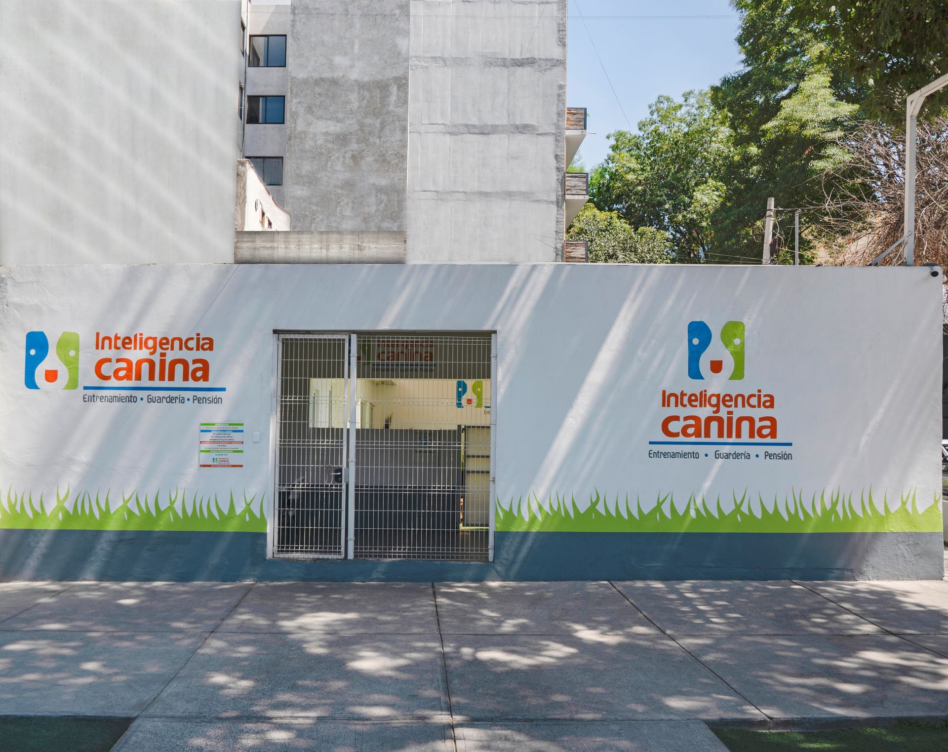 escuela de adiestramiento canino alberca olimpica  ciudad de mexico