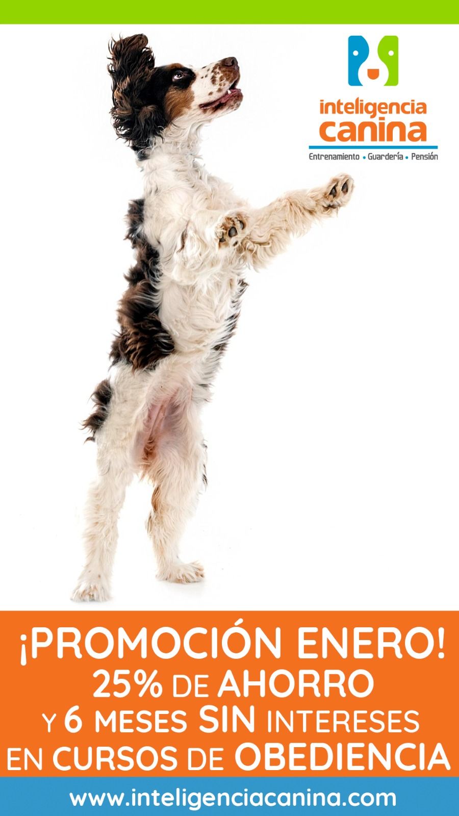 Promocion Premium Ahorra hasta 24 mil mxn