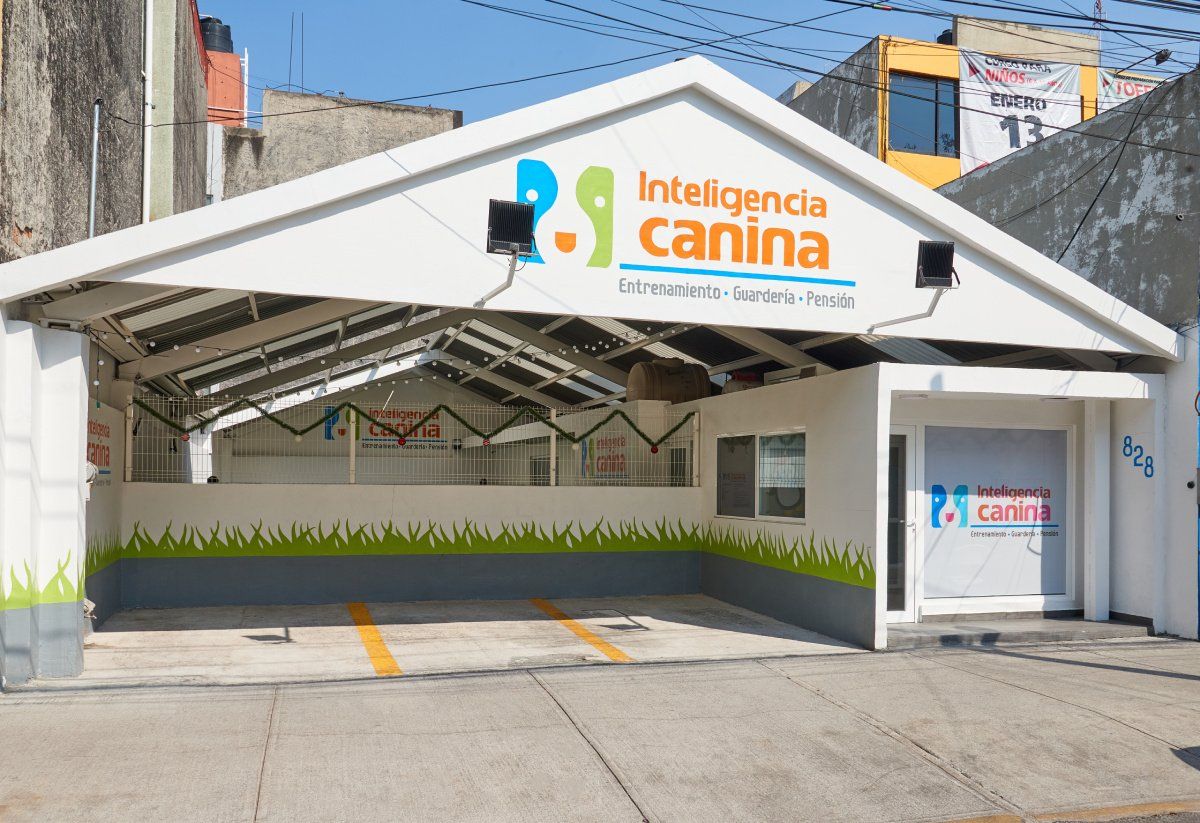 escuela de adiestramiento canino  ciudad de mexico parroquia
