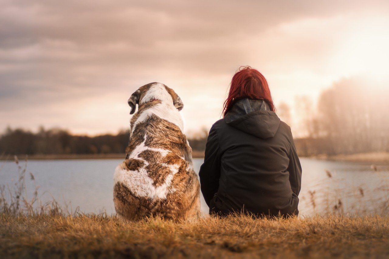 ¿Cómo minimizar el tiempo a solas con tu perro?