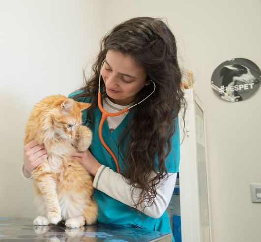 Julia con Gato