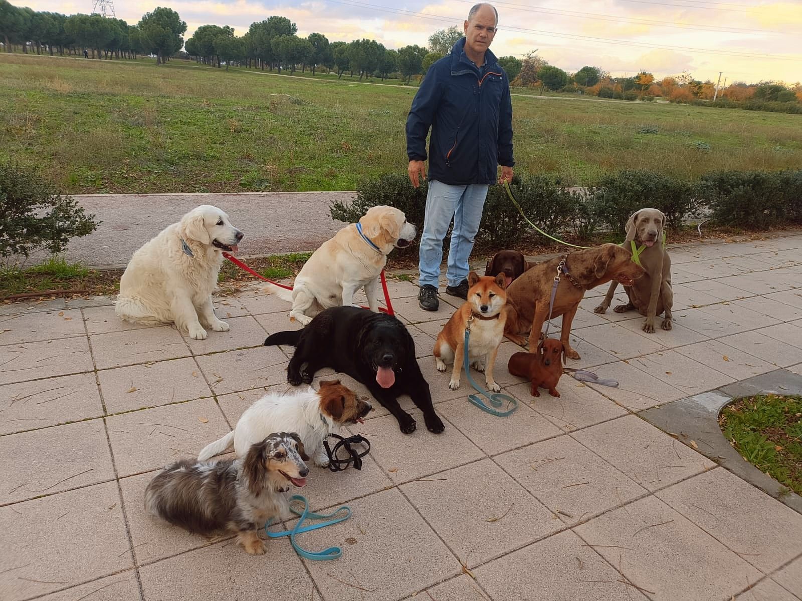Jaime con Perros