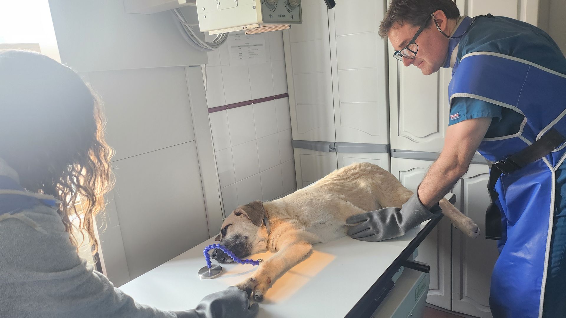 Radiografía trauma
