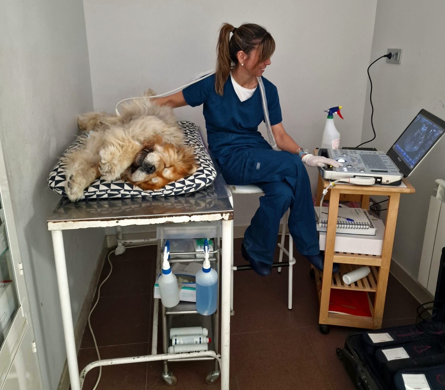 Cris con Perro ecografía