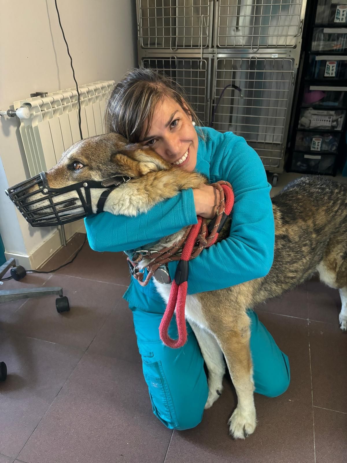 Cris con Perro Hospitalizado