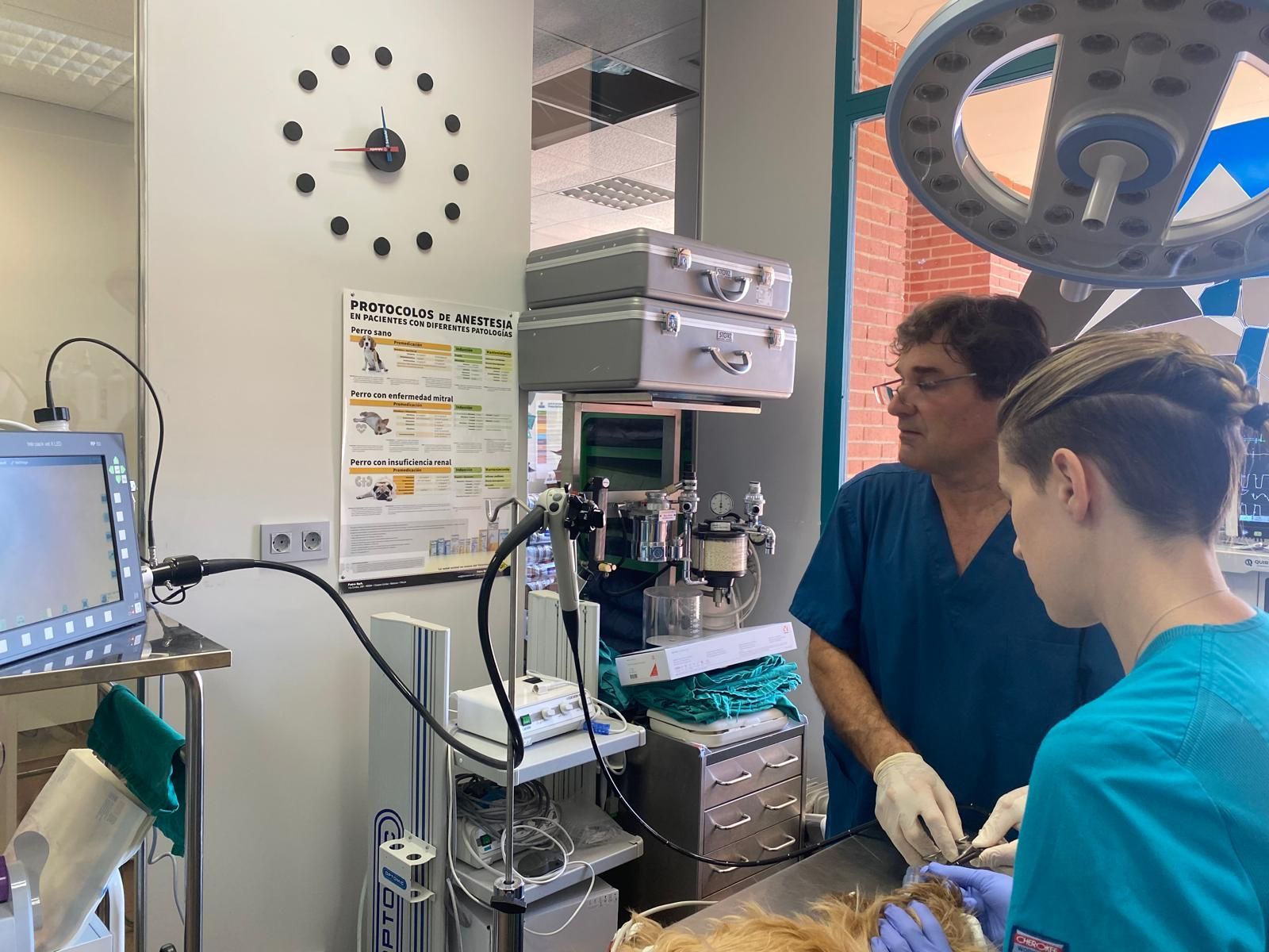 Foto Endoscopia