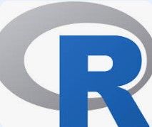 R logo