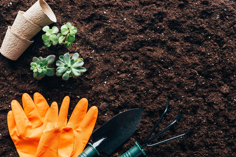 Herramientas de jardinería (guantes naranjas, paleta, rastrillo), plantas pequeñas y macetas vacías dispuestas sobre tierra oscura.
