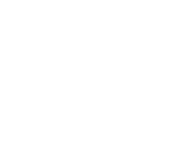 Crown logo with stylized letter C