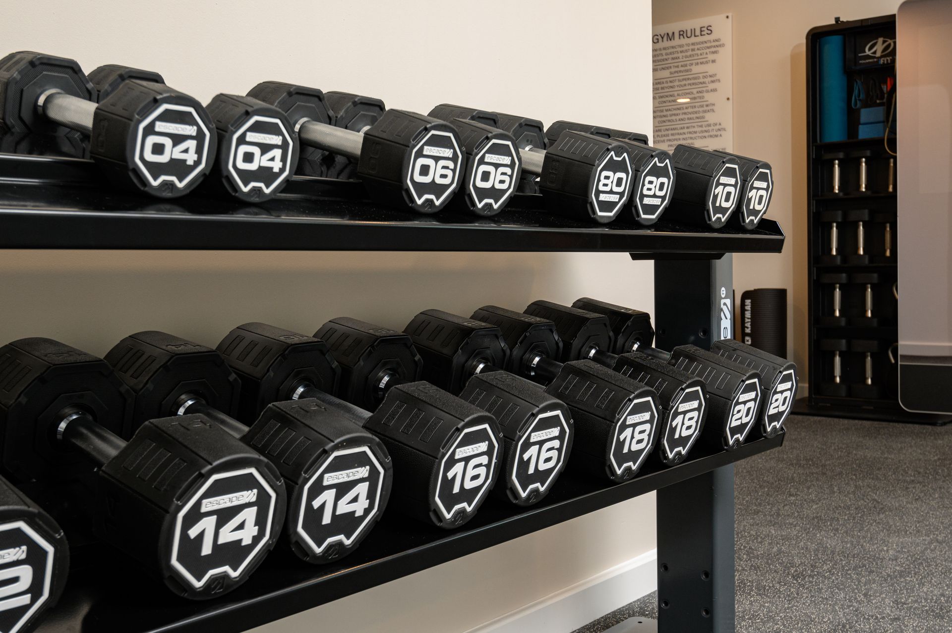 A row of black dumbbells with white numbers on them at Walton Court.