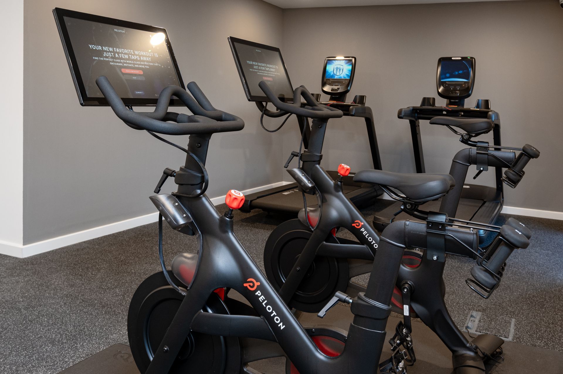 A row of exercise bikes and treadmills in a gym at Walton Court.