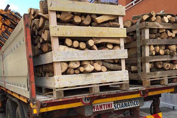 Trasporto legna a Brindisi