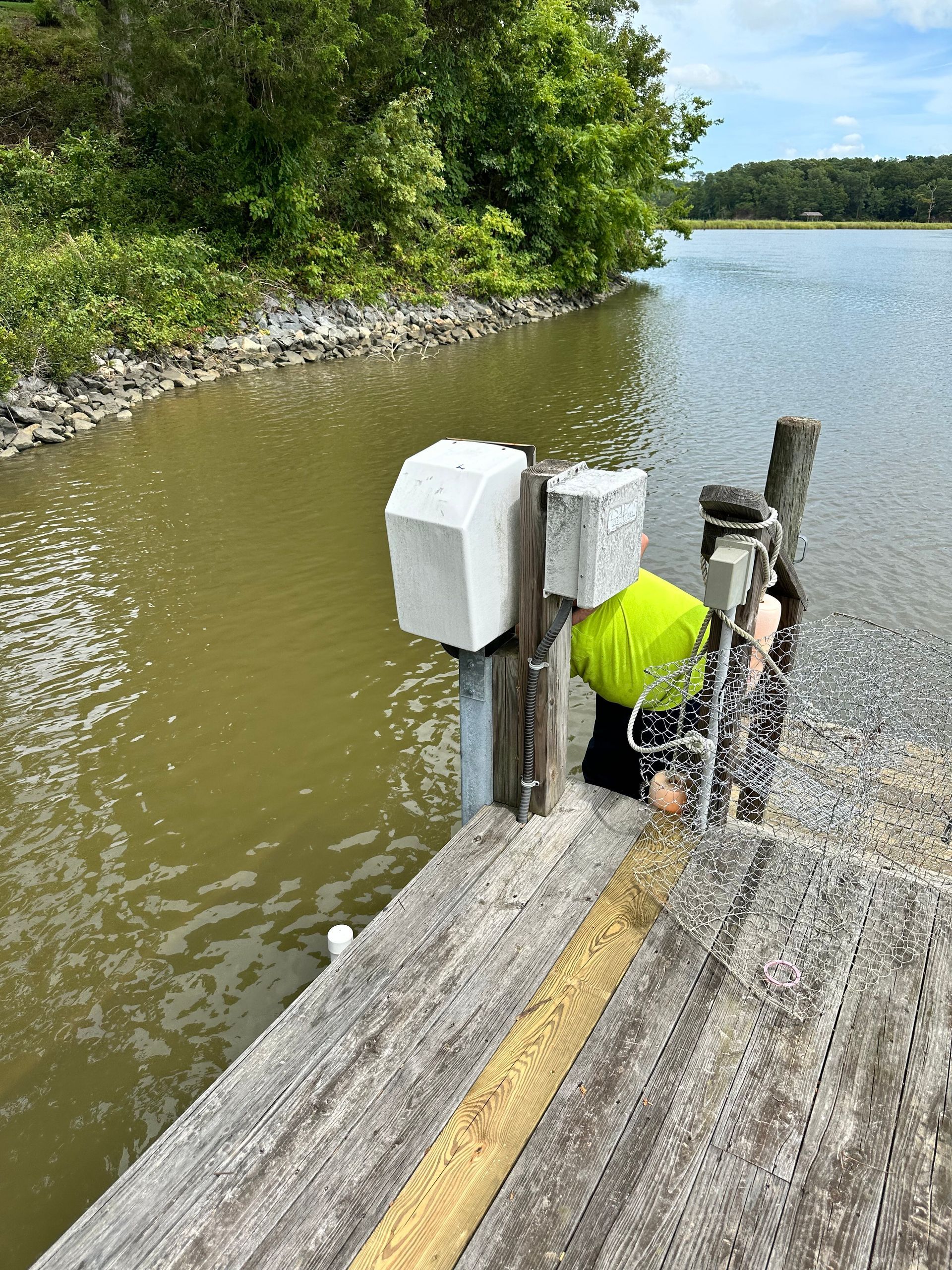 Person in yellow shirt leans over wooden dock, near water, examining something.