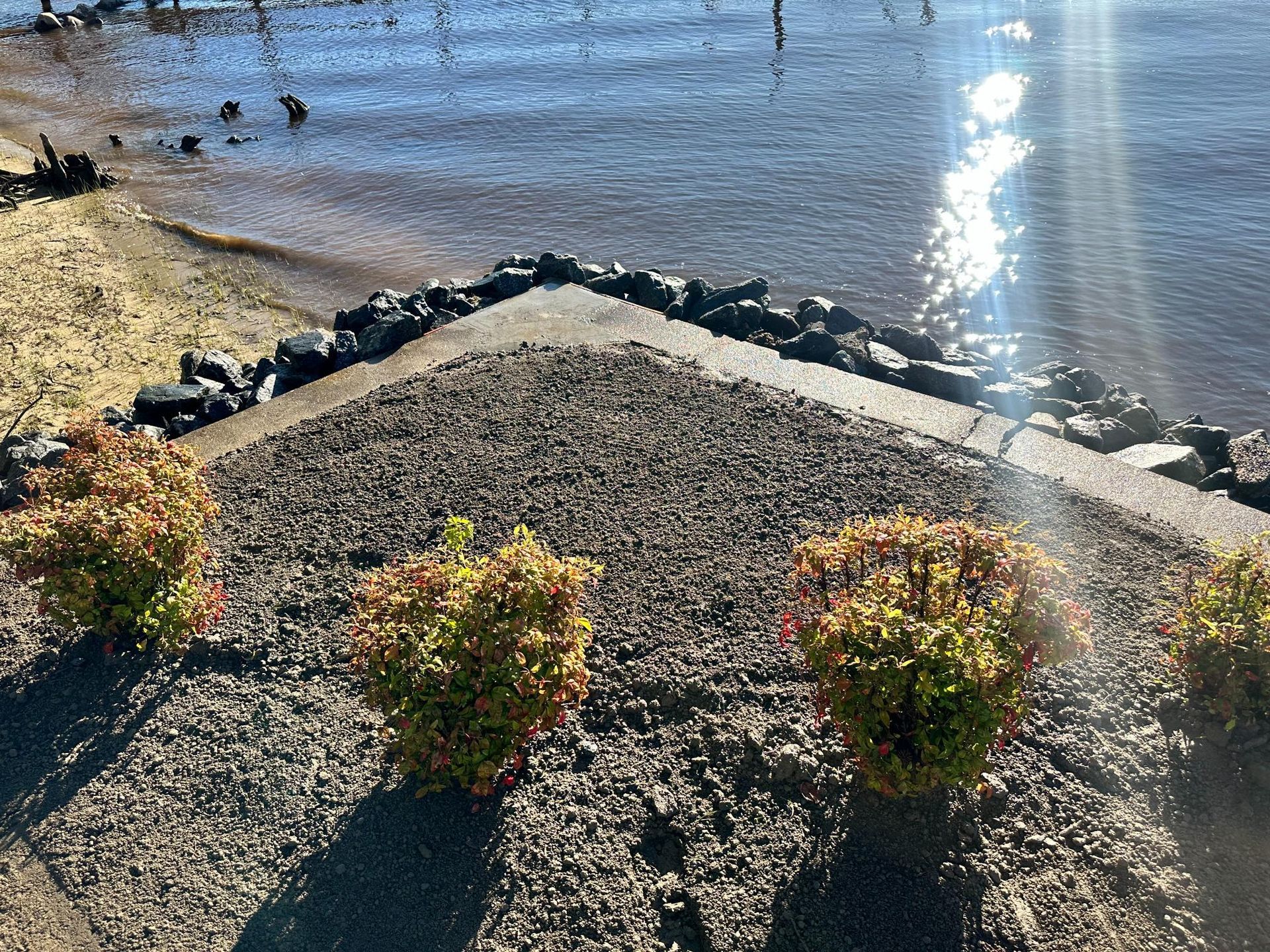 Shoreline with gravel path, small plants, and sparkling water.