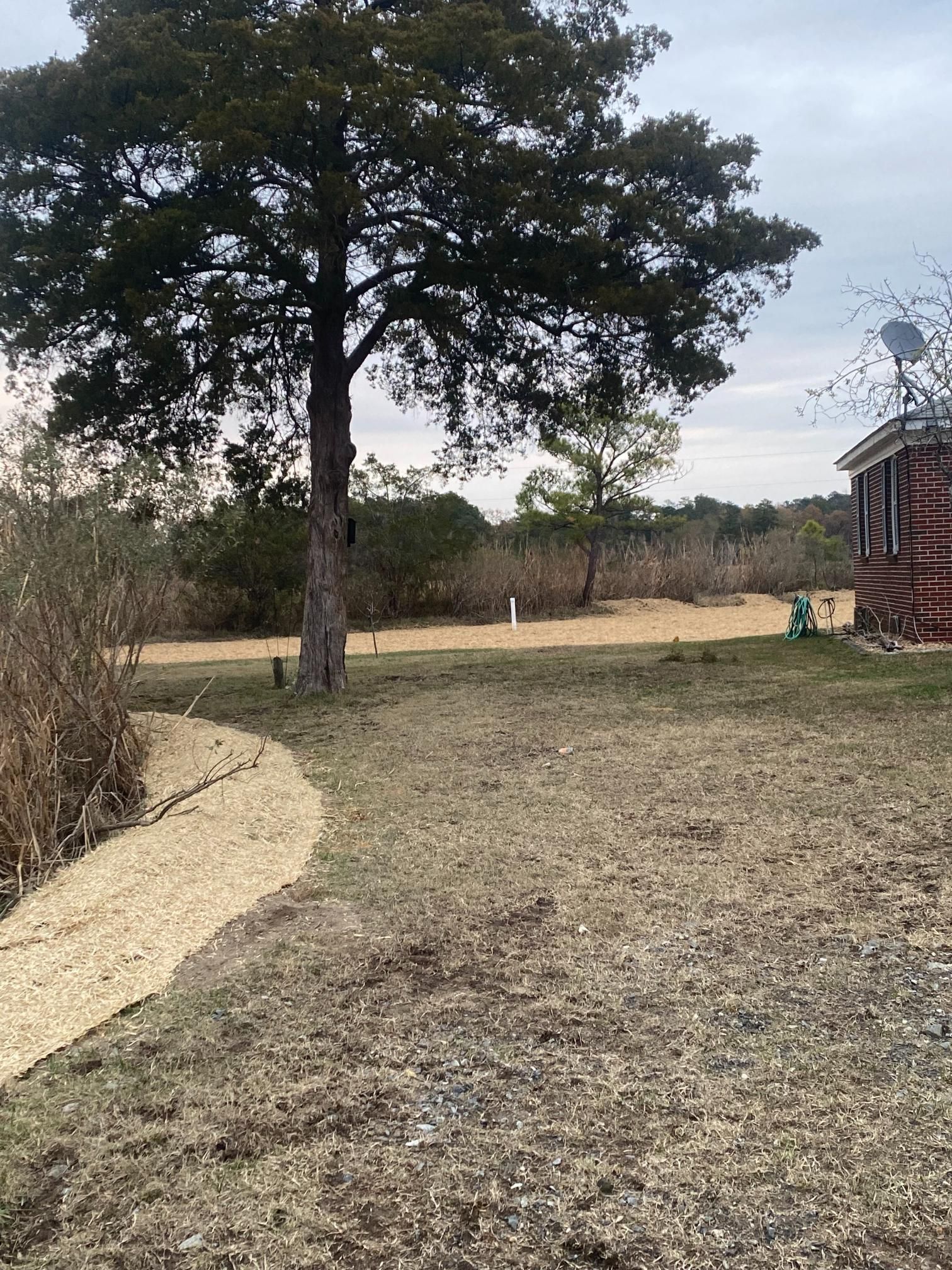 Grassy yard with a tree, a brick building, and a tan ground cover; overcast day.
