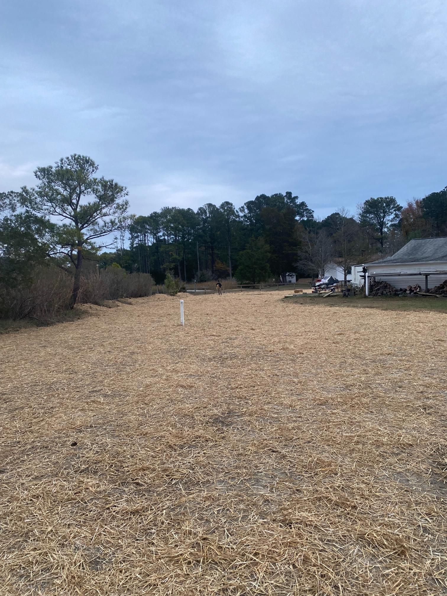 Gravel lot with trees on the edges and background, cloudy sky.
