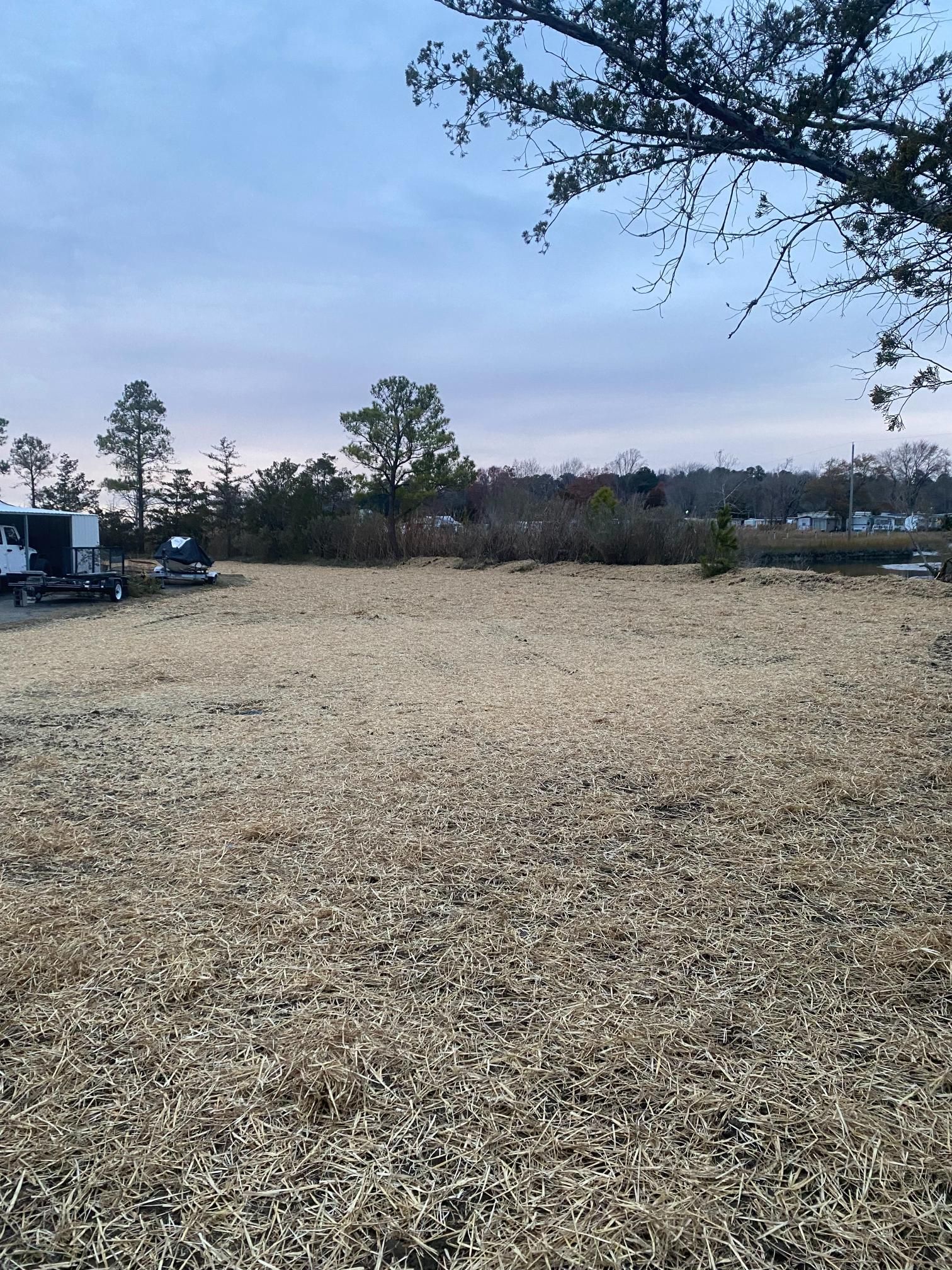 Open field with dry grass, trees in the background, overcast sky.