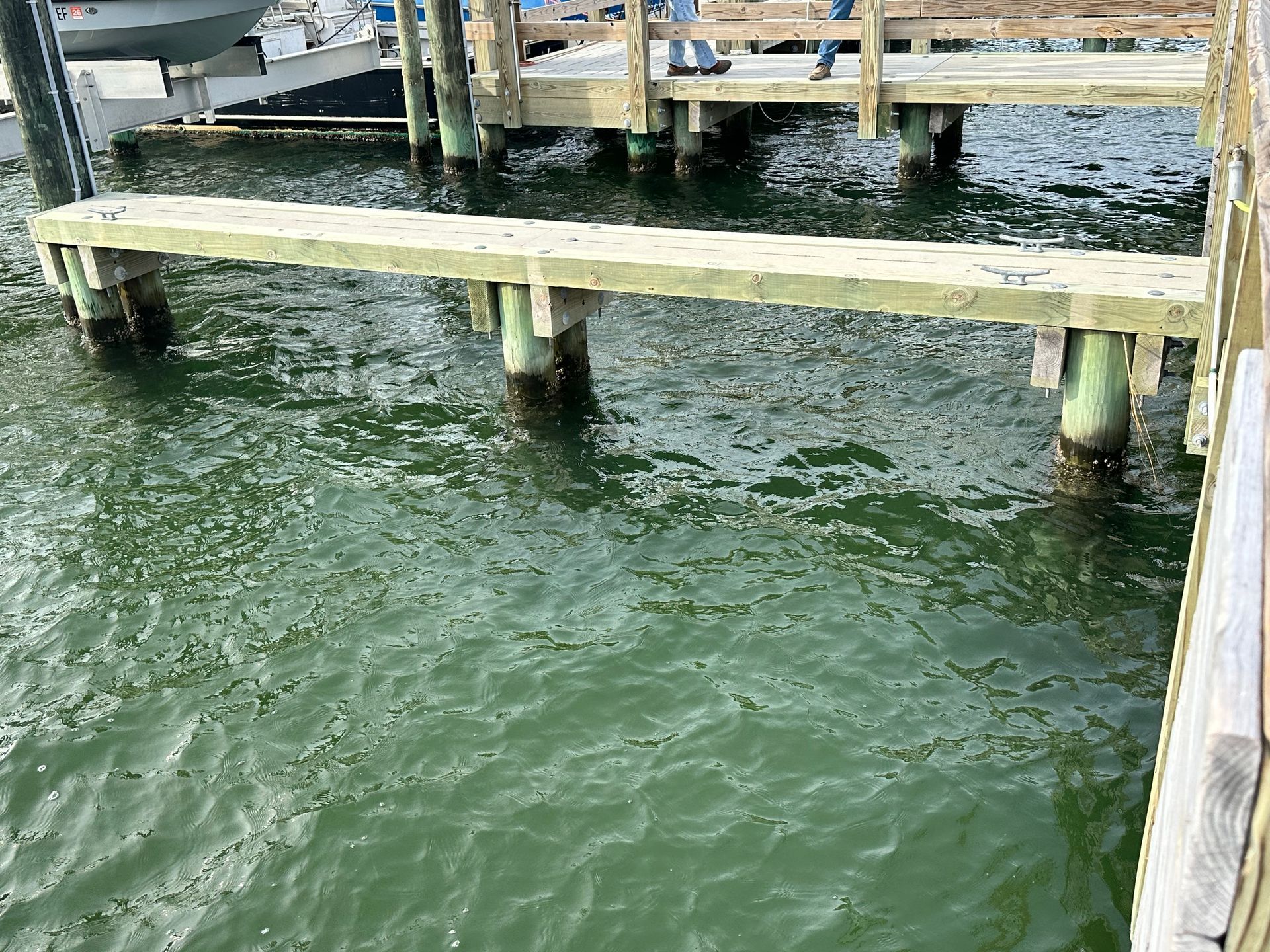 Wooden dock over green water with a boat visible in the background.