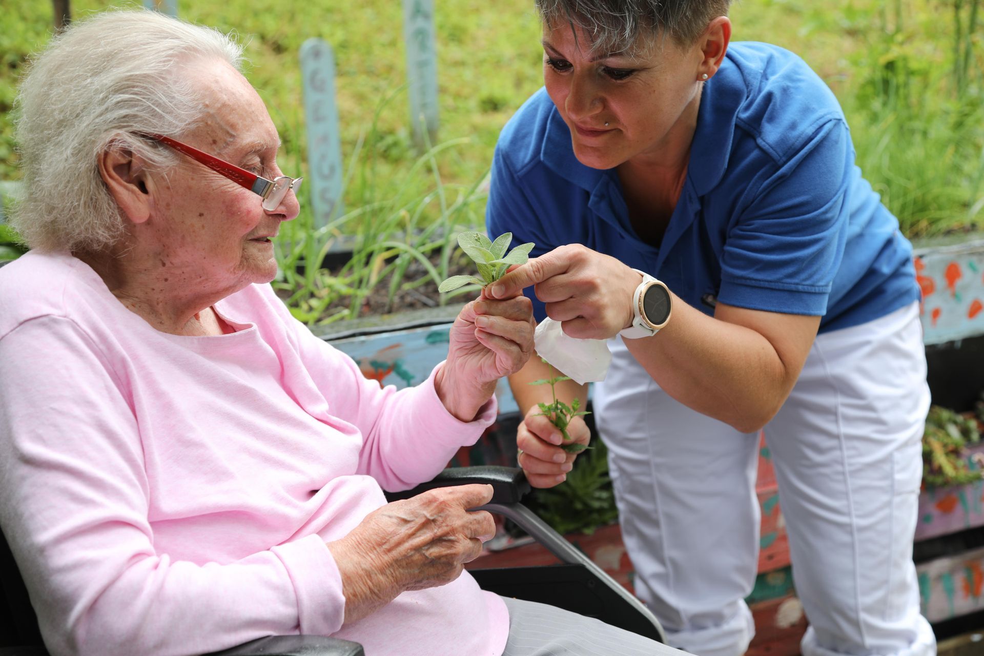 Eine ältere Frau im Rollstuhl wird von einer Krankenschwester versorgt.