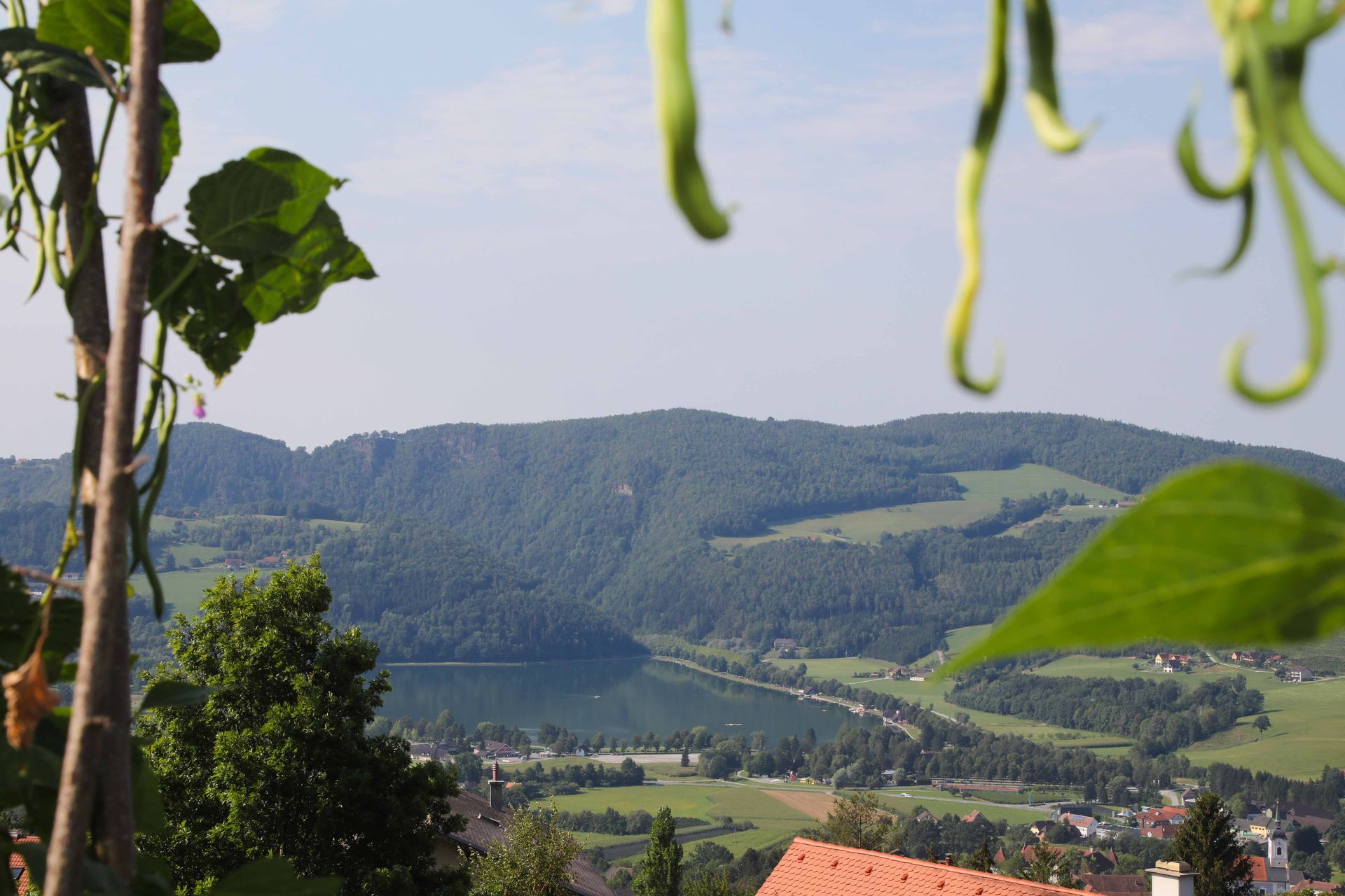 Blick auf einen See mit Bergen im Hintergrund