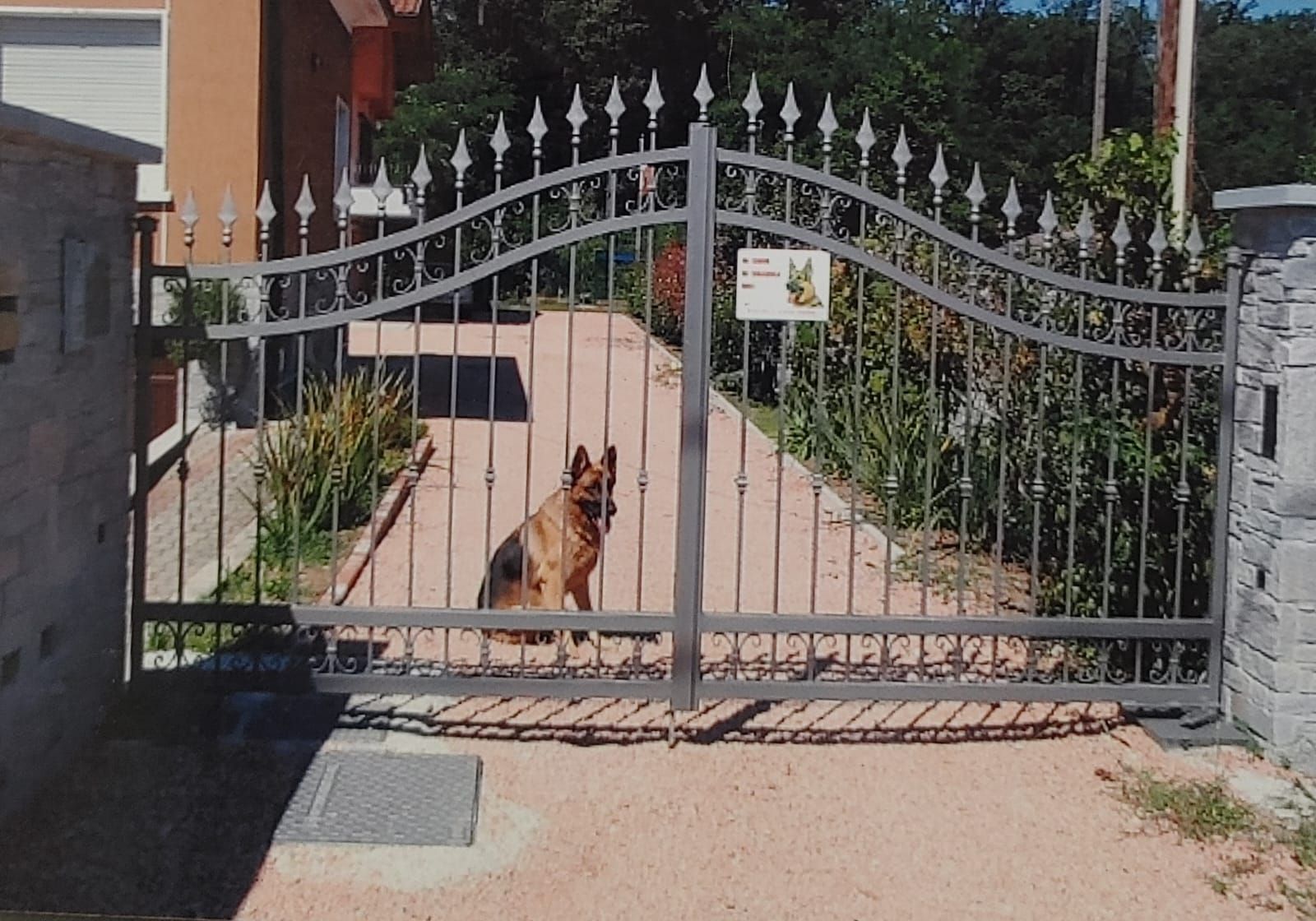 Un pastore tedesco sta dietro un cancello in ferro battuto