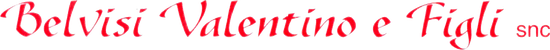 Logo BELVISI VALENTINO E FIGLI