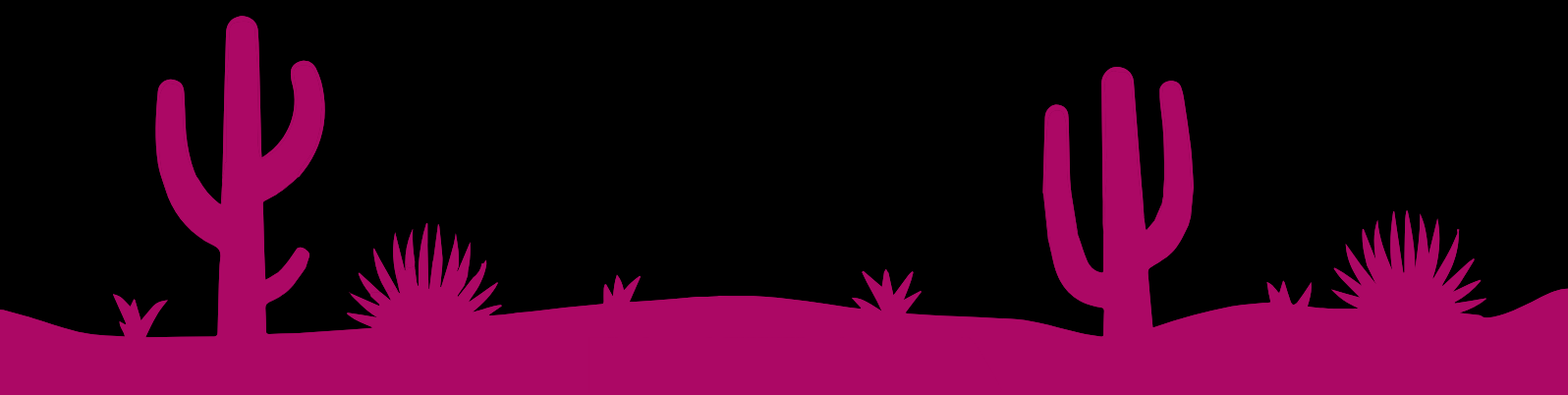 Cacti graphics at Silverball Saloon