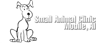 Vets, Veterinarians, Pet Clinics | Mobile, AL | Small Animal Clinic