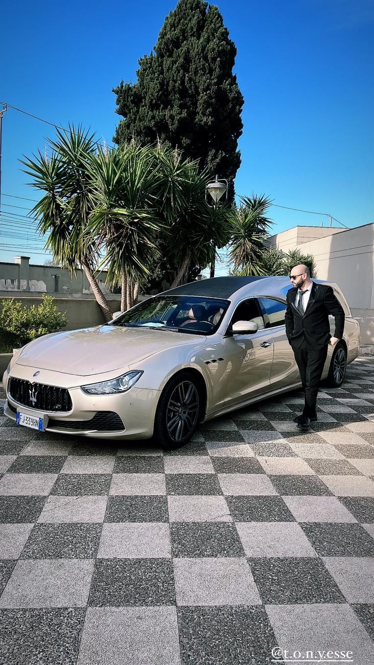 colomba che spicca il volo