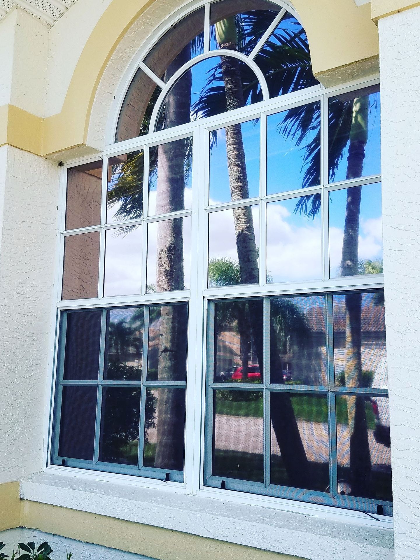 A window with palm trees reflected in it
