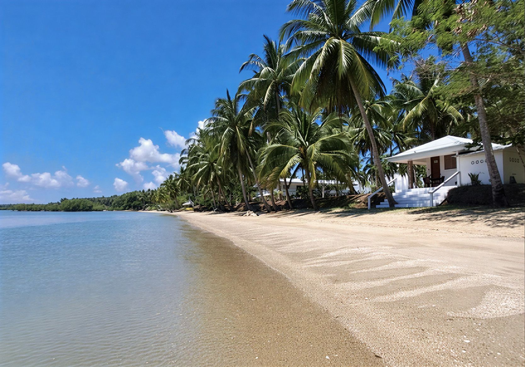Beach with palm trees, white building, and calm blue water under a clear sky.